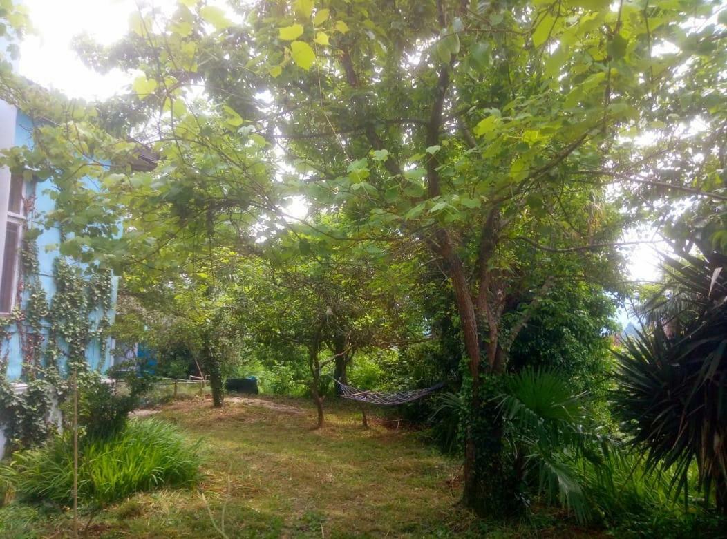 Guesthouse Eco شاكفي المظهر الخارجي الصورة