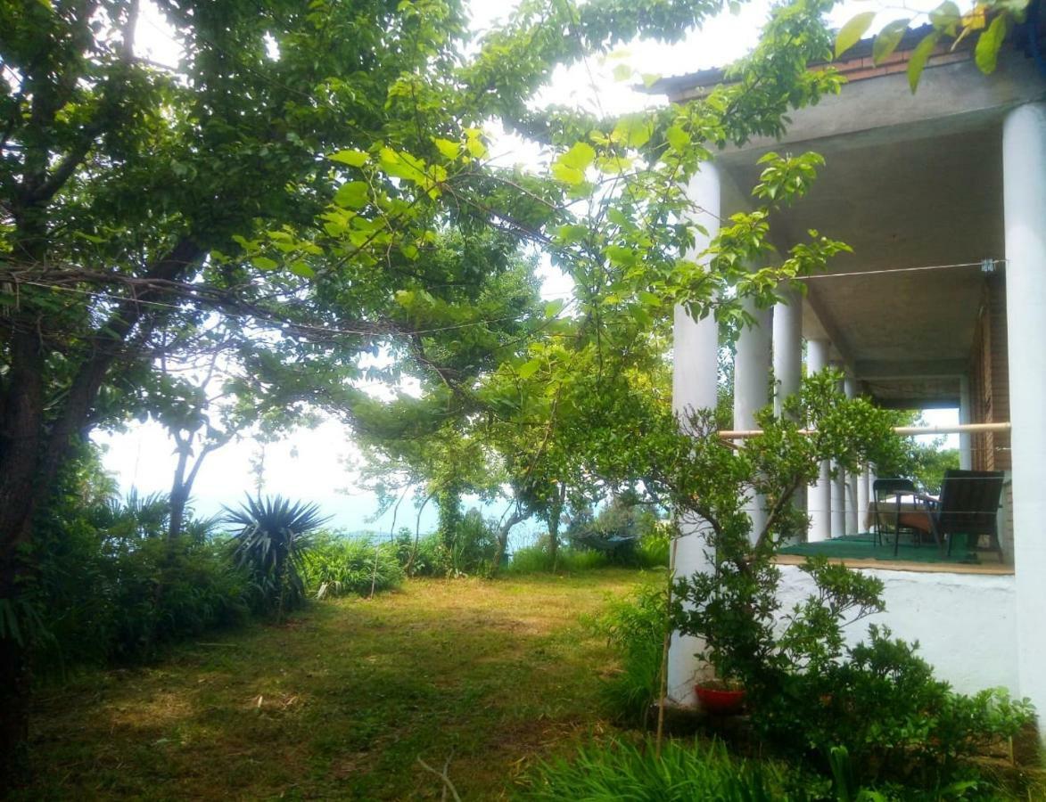 Guesthouse Eco شاكفي المظهر الخارجي الصورة