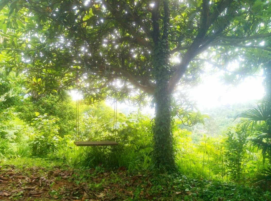 Guesthouse Eco شاكفي المظهر الخارجي الصورة